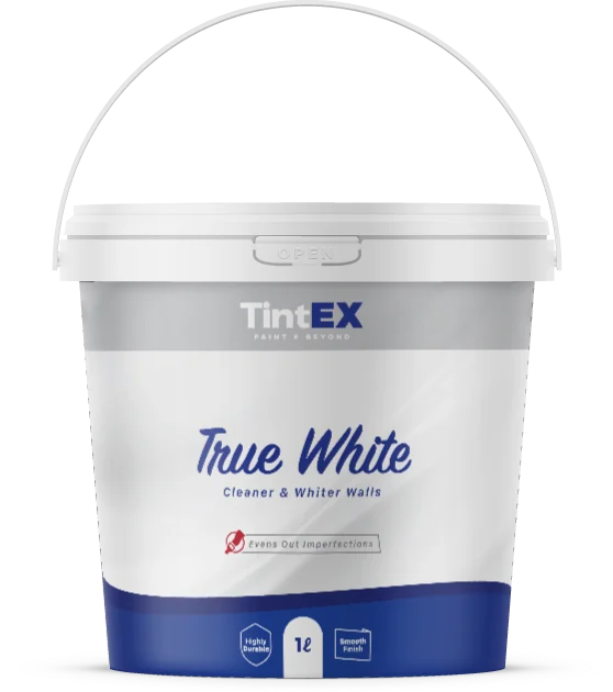 Seau de peinture TintEX True White